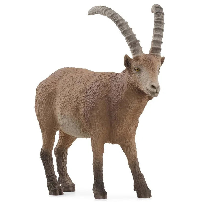 Schleich – Wild Life: Stenbuk (14873)