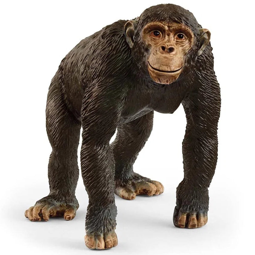 Schleich – Wild Life: Chimpanse (14883)