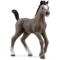 Schleich – Horse Club: Selle Français, føl (13957)