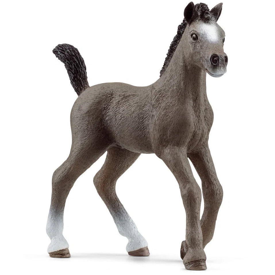 Schleich – Horse Club: Selle Français, føl (13957)