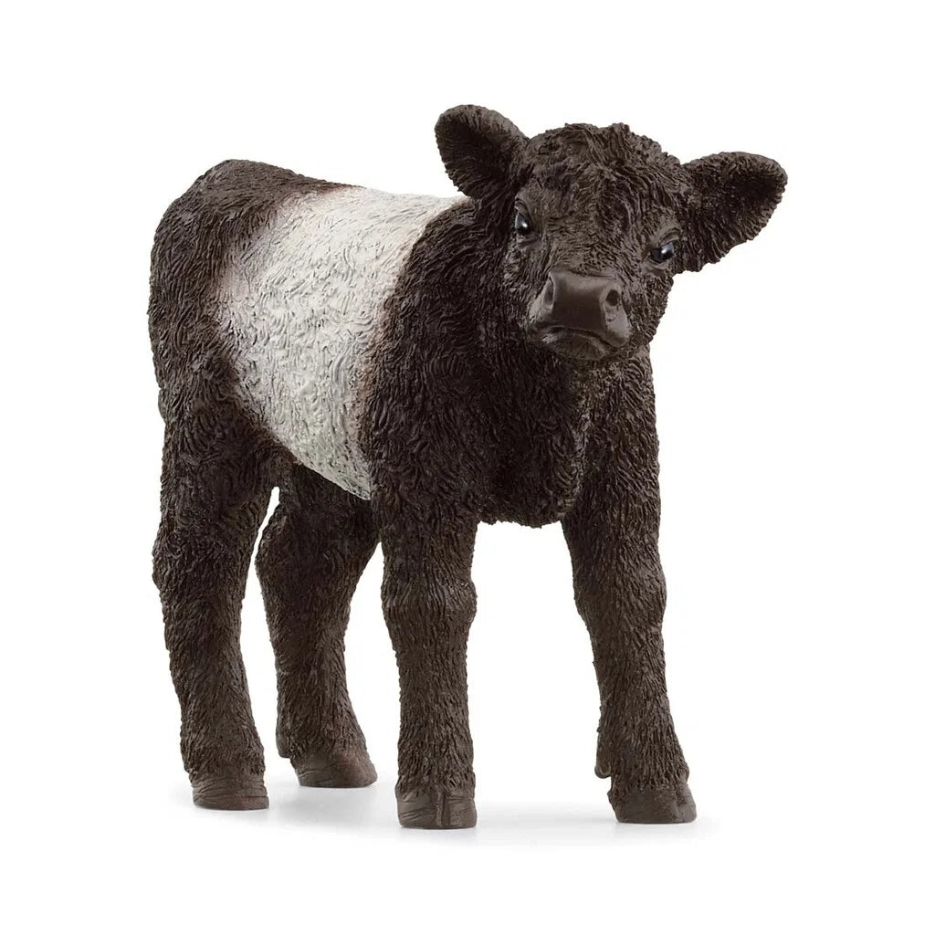 Schleich – Farm World: Galloway, kalv (13969)