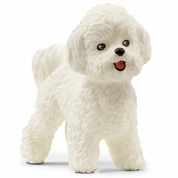 Schleich – Bichon Frisé (13963)