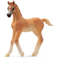 Schleich – Horse Club: Arabisk fuldblod, føl (13984)