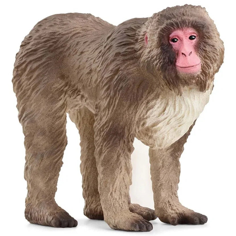 Schleich – Wild Life: Japansk makak (14871)
