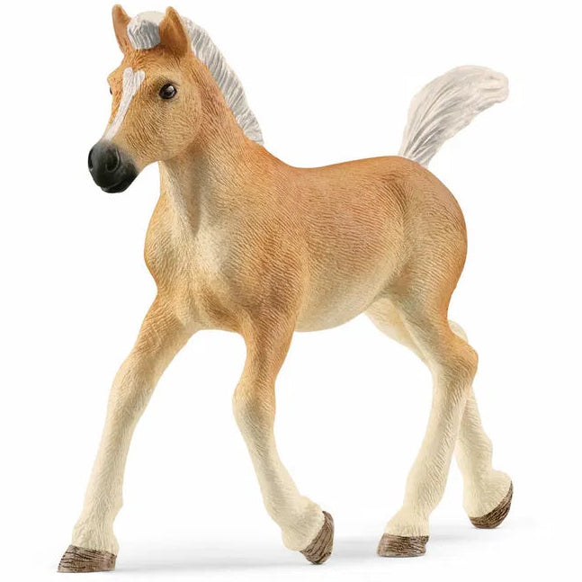 Schleich – Haflinger, føl (13951)