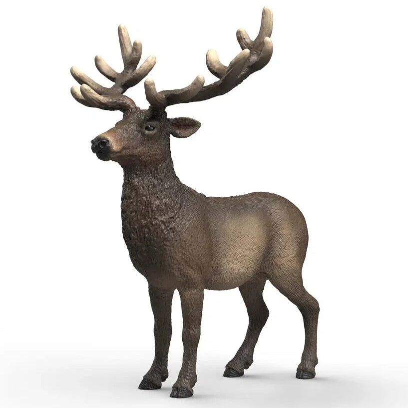 Schleich – Wild Life: Amerikansk kronhjort (14992)