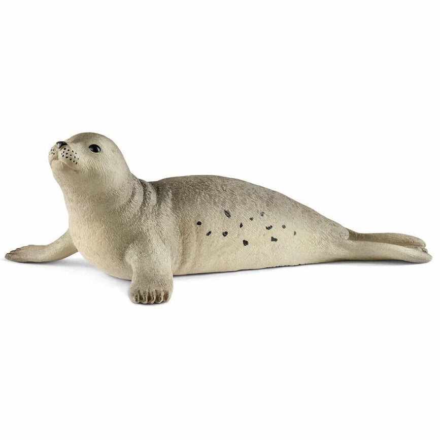 Schleich – Wild Life: Sæl (14801)