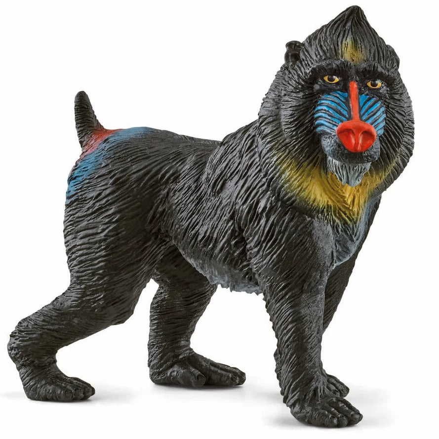 Schleich – Wild Life: Mandril (14856)