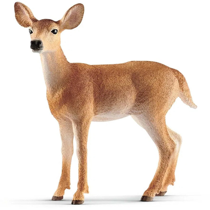 Schleich – Wild Life: Hvidhalet hjort, hind (14819)