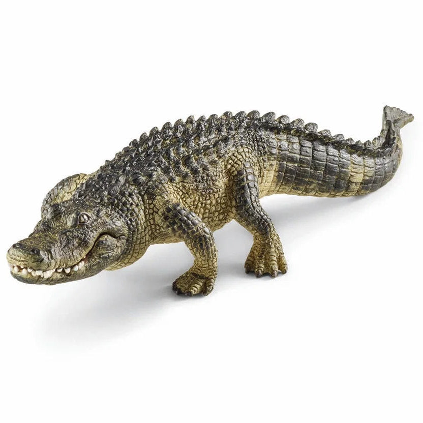 Schleich – Wild Life: Alligator (14727)