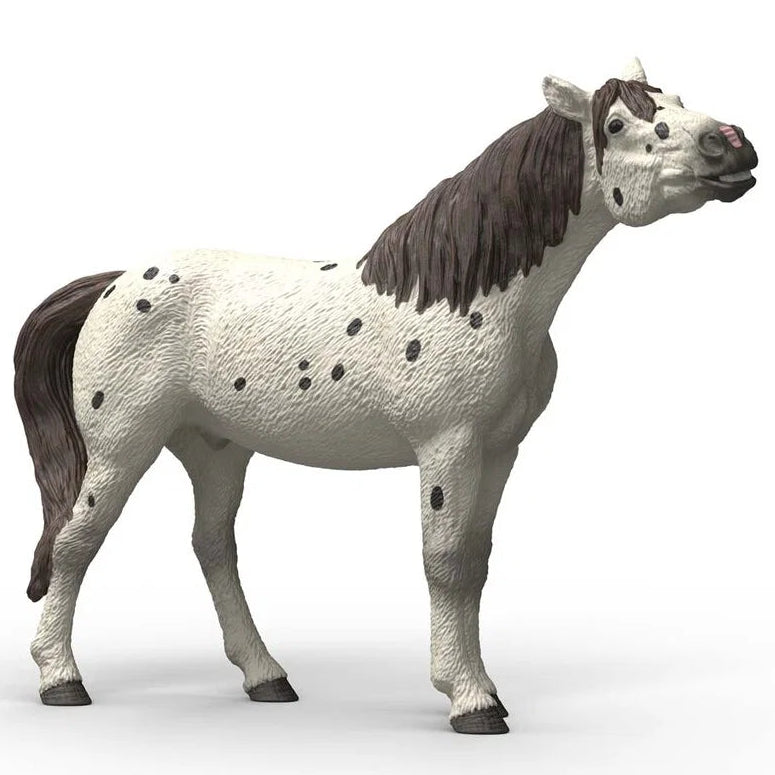 Schleich – Horse Club: Knabstrupper, vallak (14916)