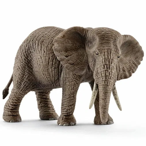 Schleich – Afrikansk elefant, hun (14761)