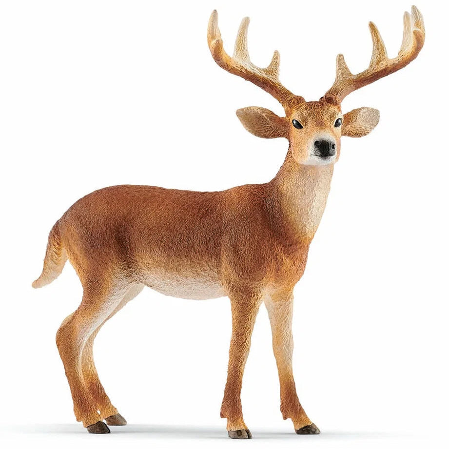 Schleich – Wild Life: Hvidhalet hjort, buk (14818)