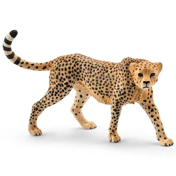 Schleich – Gepard, hun (14746)