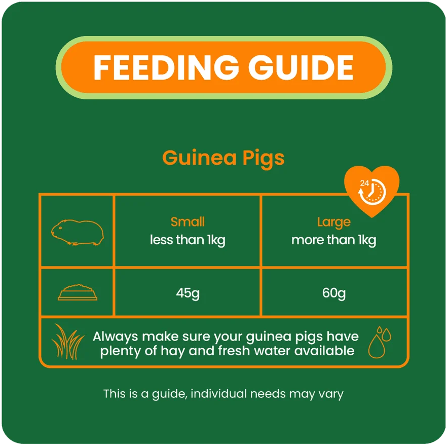 Burgess – Excel Mature Guinea Pig Nuggets (Tranebær/Mynte)