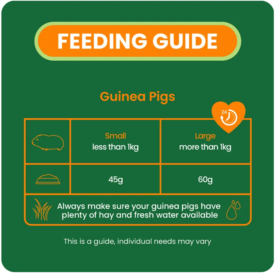 Burgess – Excel Guinea Pig Nuggets (Mynte)
