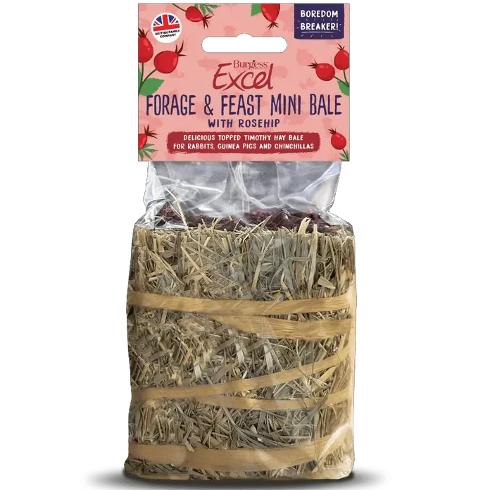Burgess – Excel Forage & Feast Mini Bale (Hyben)