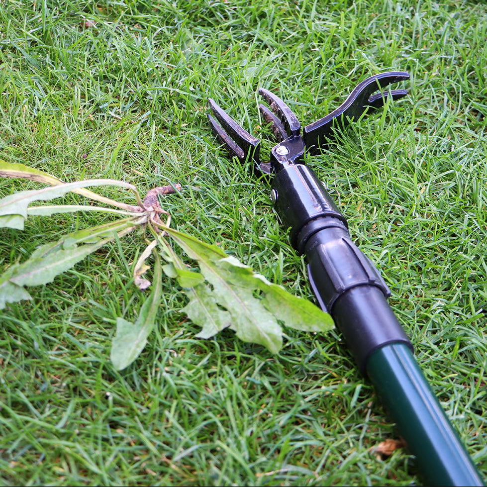 Scandinavian Collection – Ukrudtsfjerner