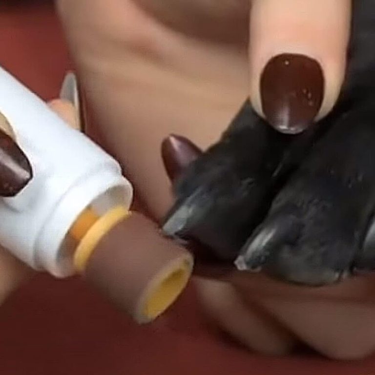 Neglefil til kæledyr