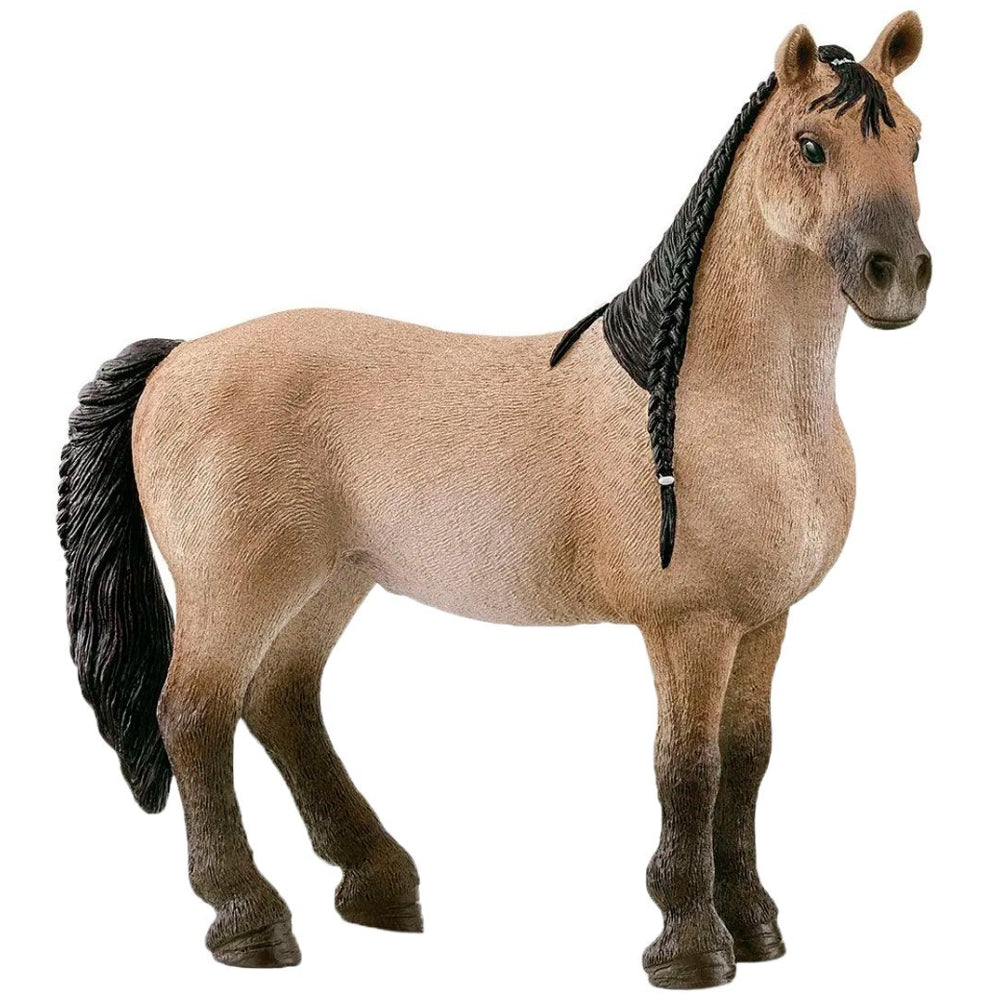 Schleich – Horse Club: Criollo Definitivo, hoppe (13948)