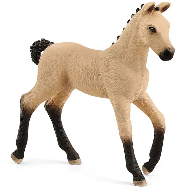 Schleich – Horse Club: Hannoveraner, føl (13929)